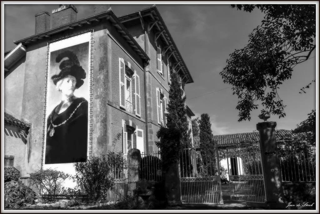 Chateau De Lahitte Bed and Breakfast Vergoignan 0*,