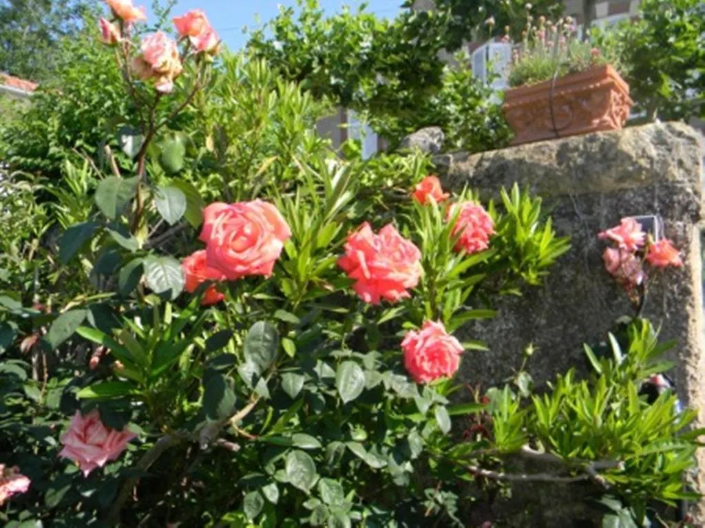 Chateau De Lahitte Bed and Breakfast Vergoignan