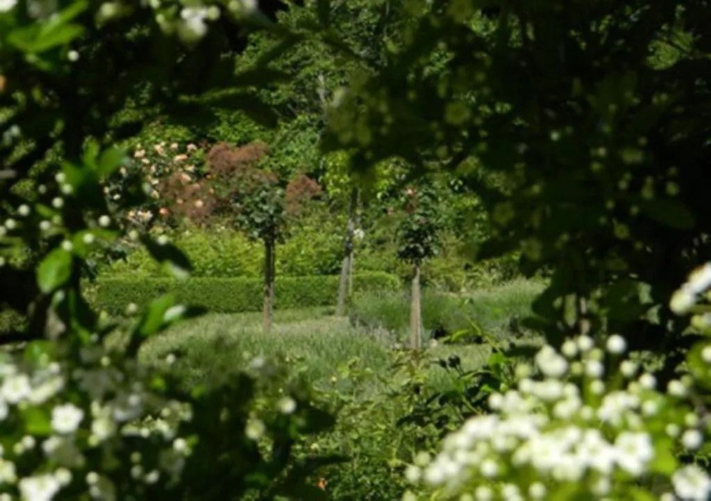 Chateau De Lahitte Bed and Breakfast Vergoignan Bed & Breakfast